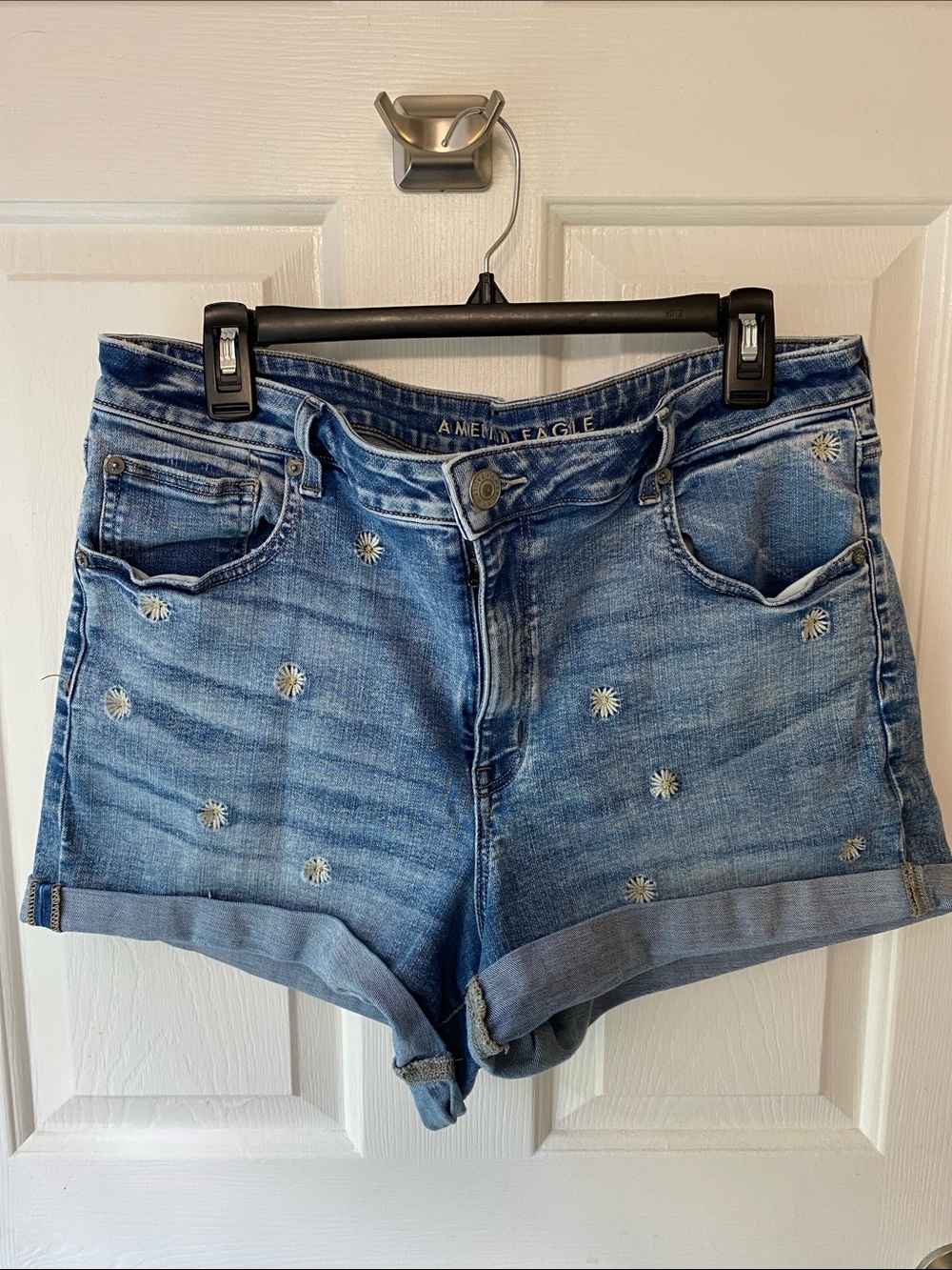 American Eagle Outfitters Daisy Embroidered Denim Jean Shorts 18